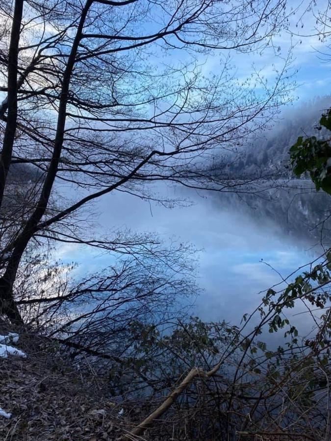 Villa Miriam Levico Terme Eksteriør billede
